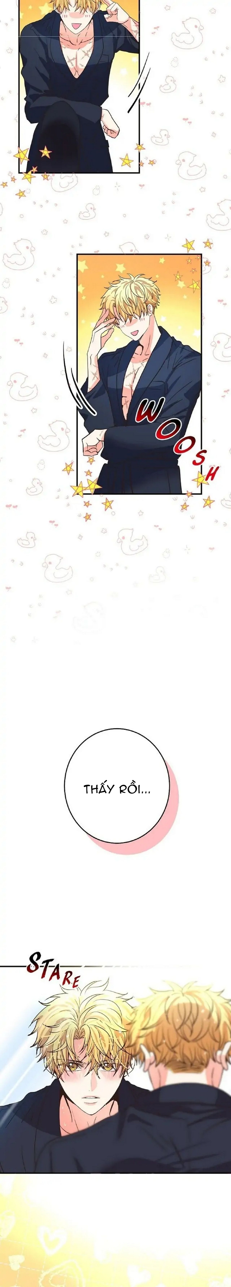 mối quan hệ phù hợp chapter 15 3