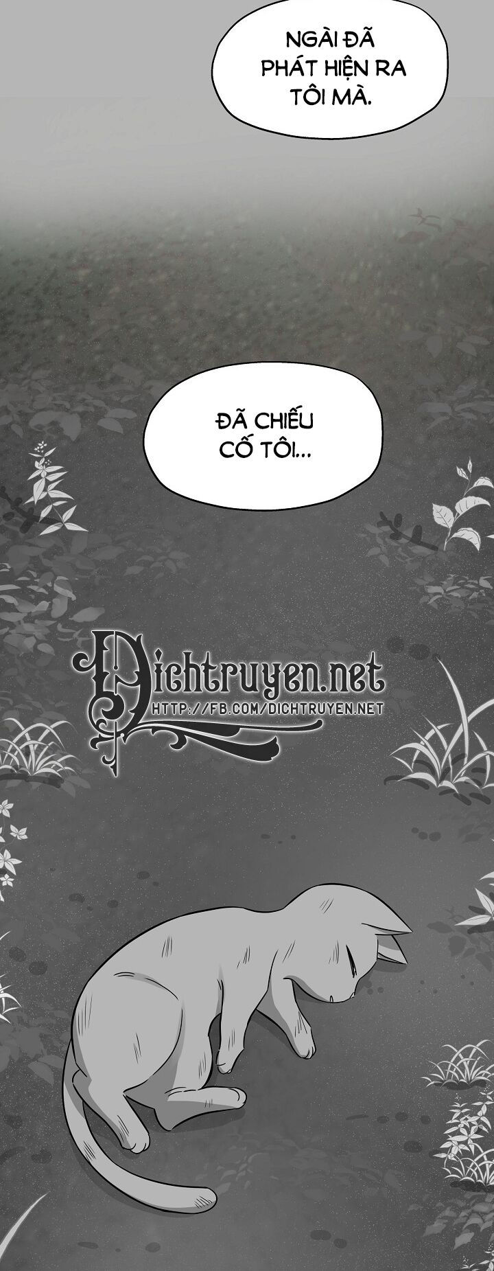 cuộc sống kỳ thú chapter 41 7