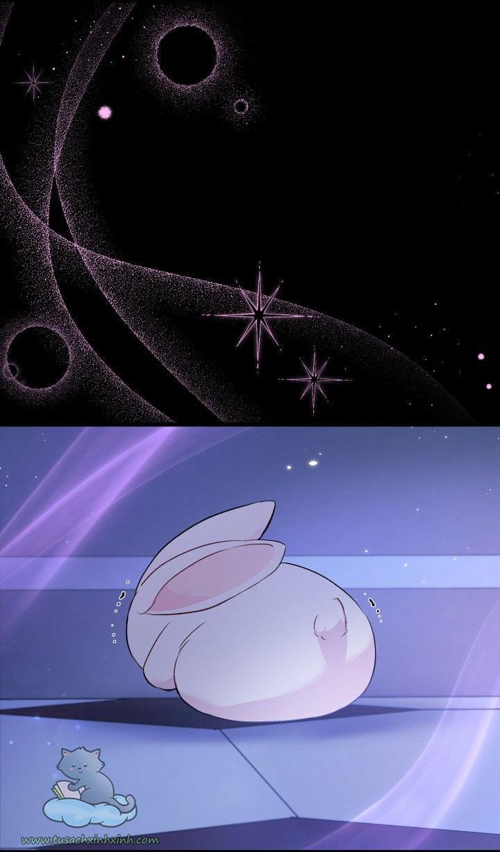 quan hệ cộng sinh giữa báo đen và thỏ trắng chapter 58 34