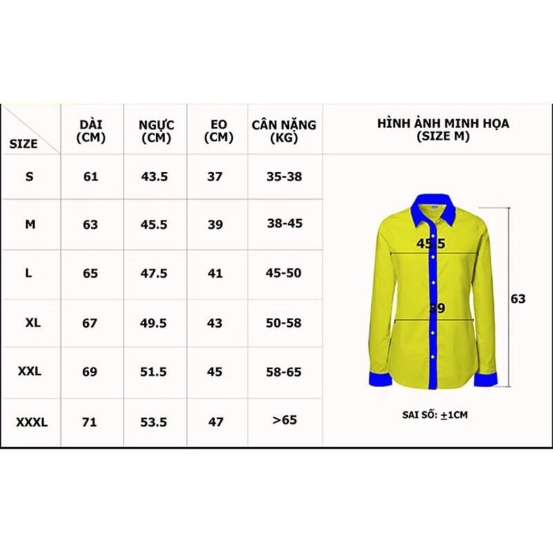 Áo sơ mi nữ dài tay giấu cúc basic