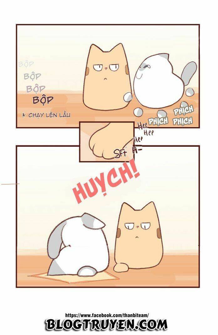 saphie: chú mèo một mắt chapter 2 6