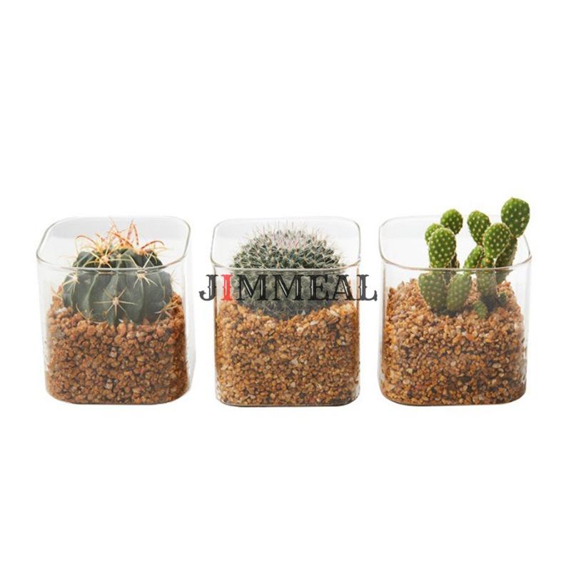 Chậu Thủy Tinh Trồng Cây, Lọ Thủy Tinh Vuông Trồng Cây Jimmeal Trong Suốt, Cắm Hoa Để Bàn, Decor Nội Thất Đa Năng