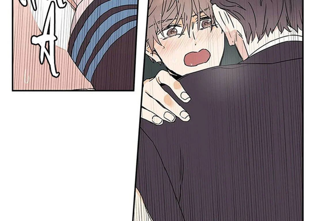 guide cấp b chapter 9 101