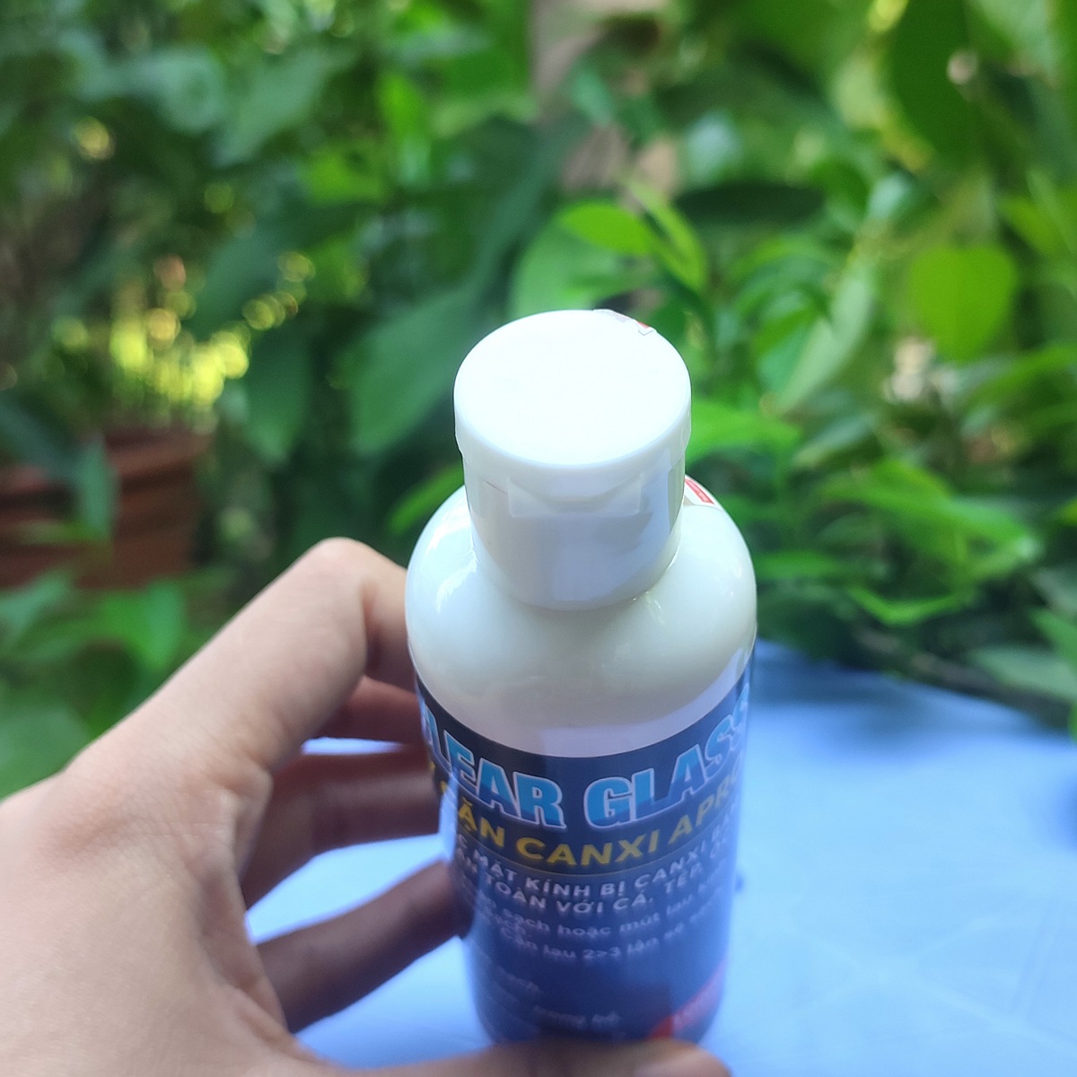 Tẩy cặn canxi bám bể kính hồ cá thủy sinh SUPPER CLEAN GLASS