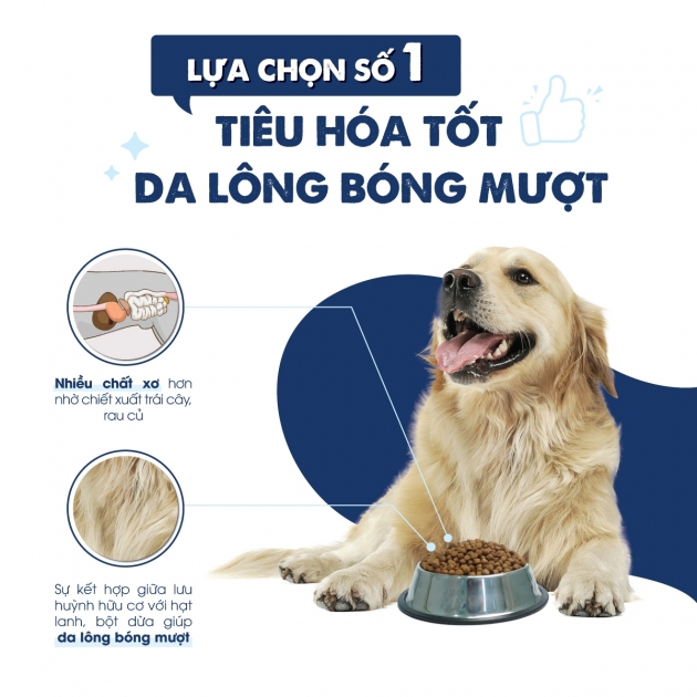 Today's dinner - Thức ăn hạt cho chó trưởng thành cân bằng dinh dưỡng (Adult dog)