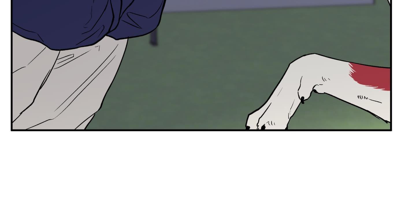 gâu gâu! chapter 51 107