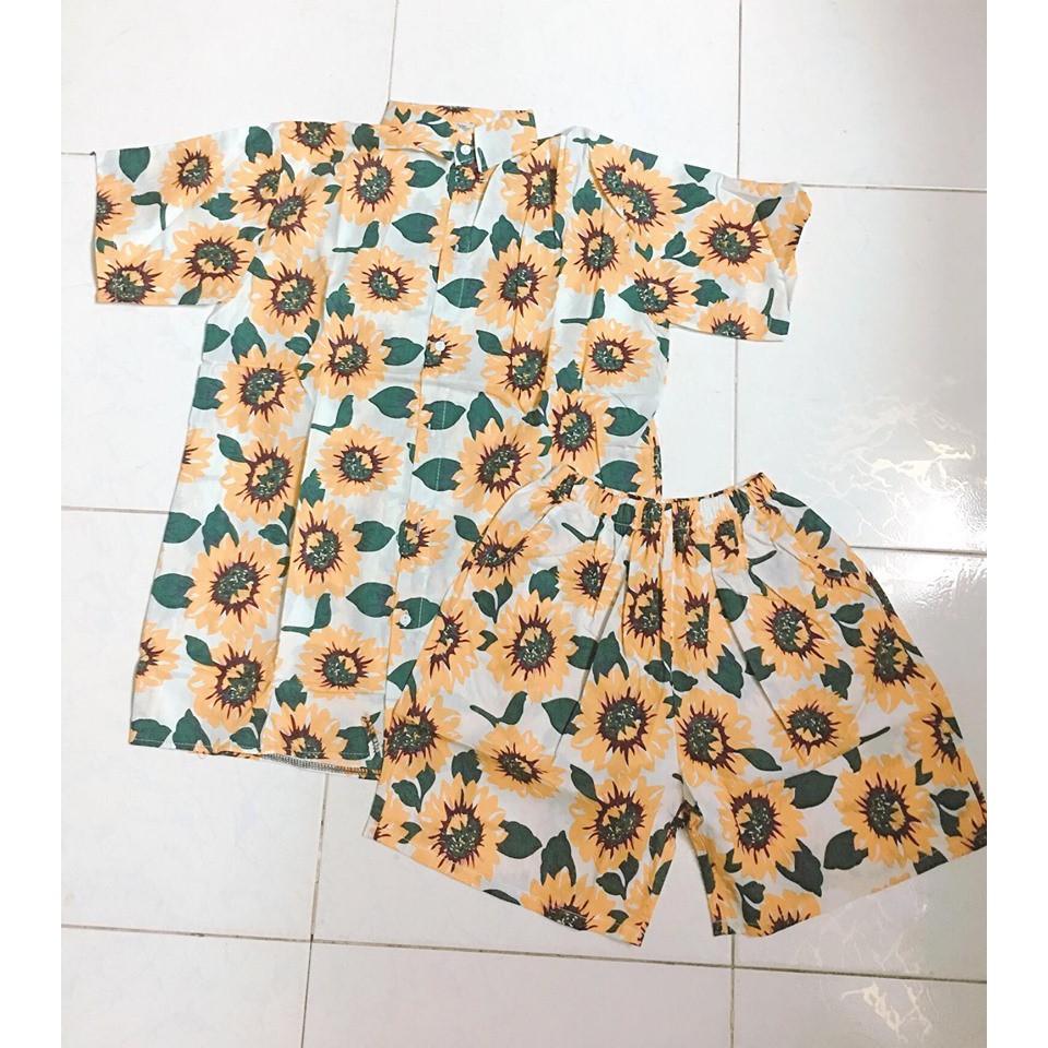 SET BỘ HOA HƯỚNG DƯƠNG NỀN TRẮNG THÁI