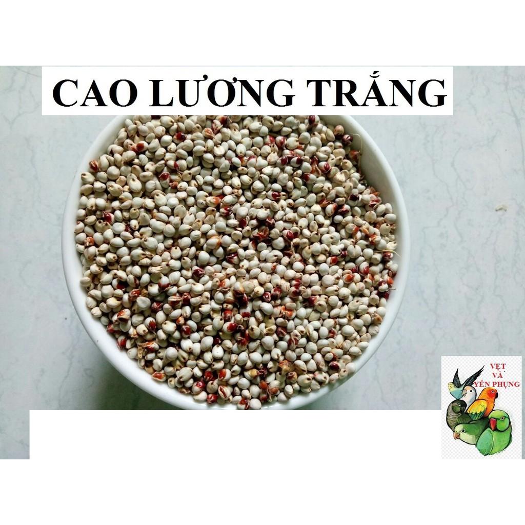 2KG HẠT TRỘN CHO NGỰC HỒNG - COCKATEIL