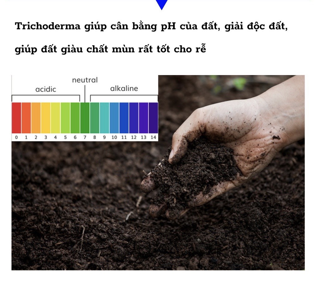 Men ủ sinh học Trichoderma 20 tỷ bào tử nấm Hộp 1 kg phân giải hữu cơ, bổ sung vi sinh vật, cải tạo đất, Chuyên Dùng Ủ Phân Hữu cơ, Ủ rác thải nhà bếp