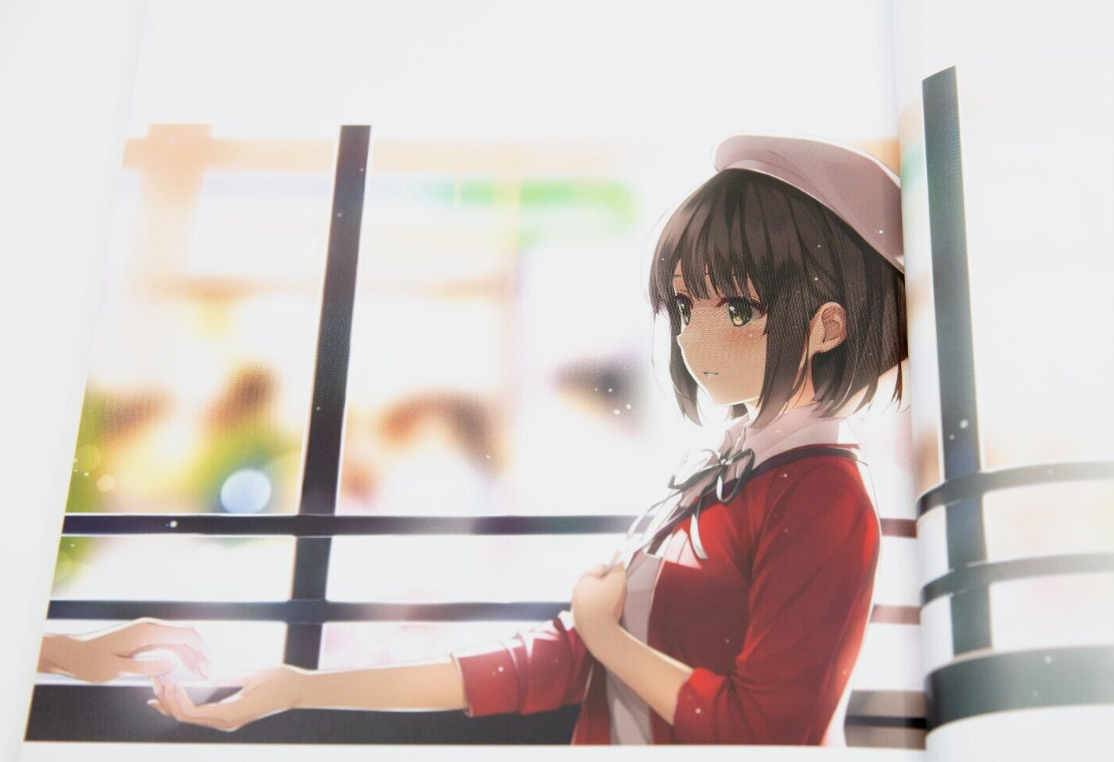 Kurehito Misaki Art Book: Saekano: How To Raise A Boring Girlfriend (Last Volume) Fine. (Japanese Edition)