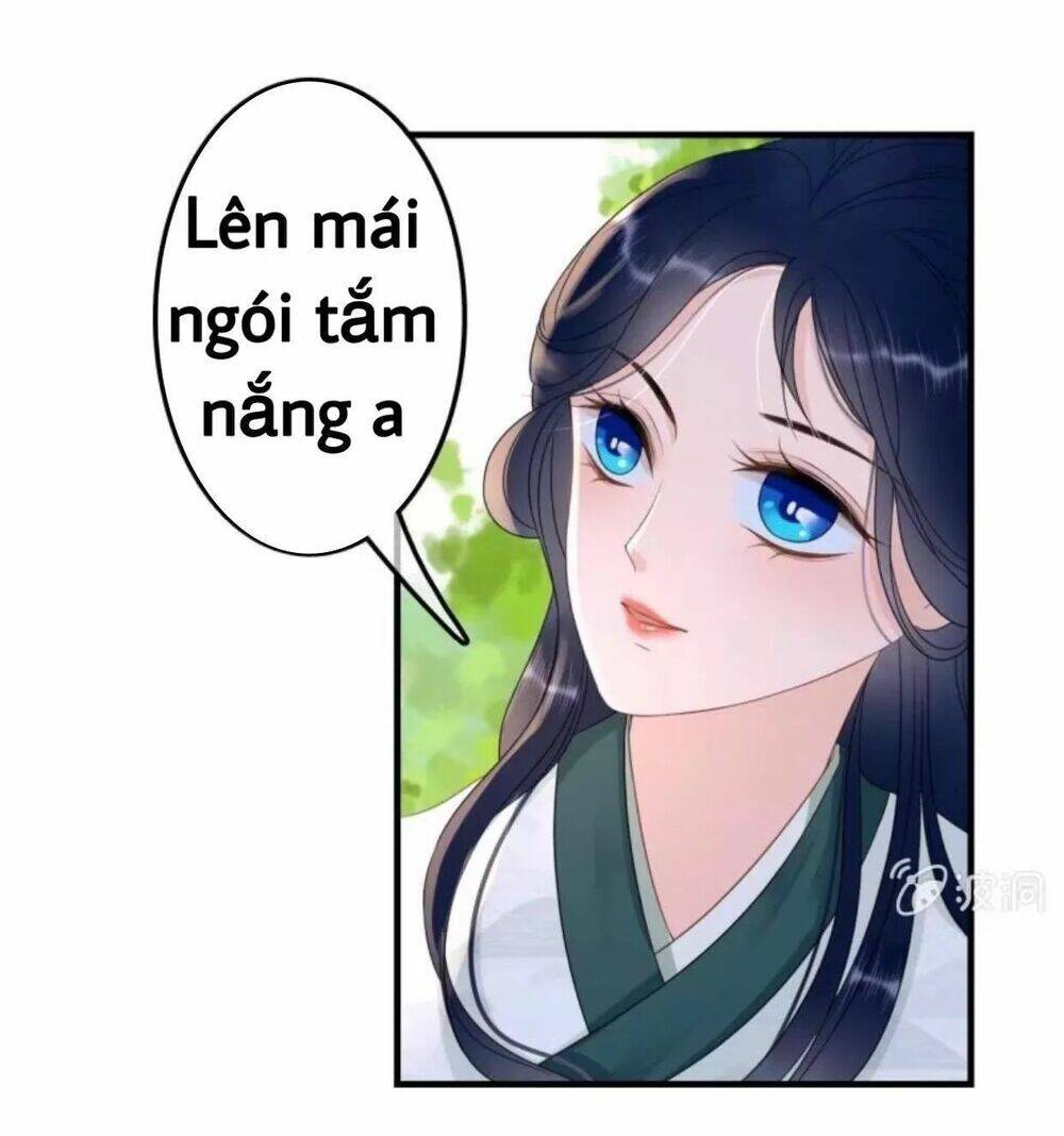 sủng phi của vương chapter 67 31