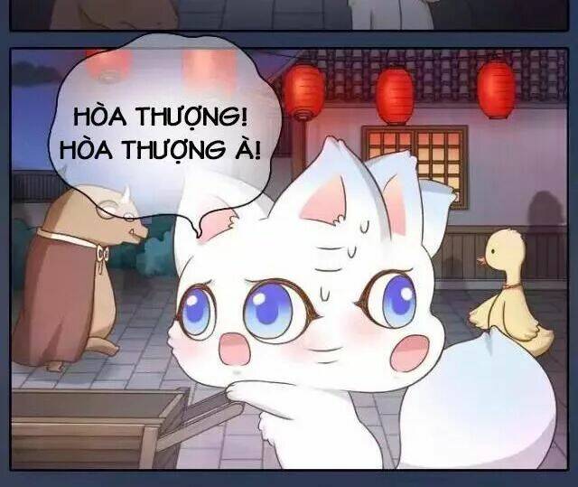 tiểu hồ ly vs tiểu hóa thượng chapter 39 9