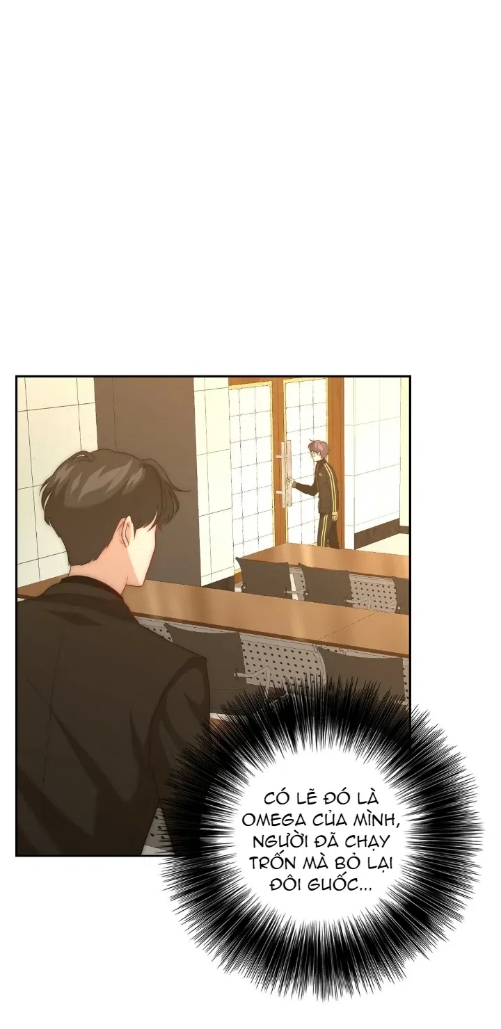 bí mật của omega k chapter 14 65
