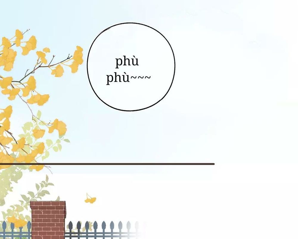 sos! tôi đã yêu một con sâu bướm (phần 2) chapter 52 3