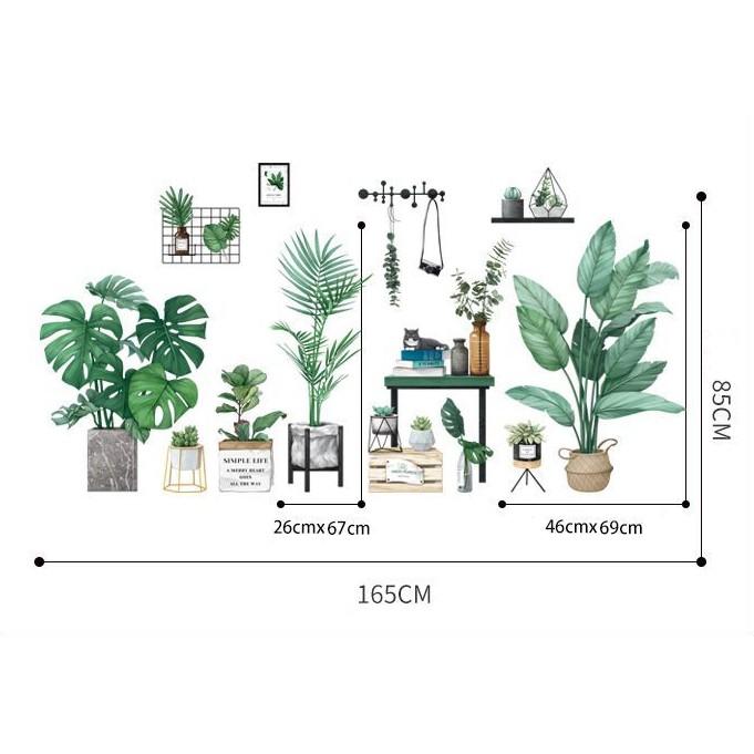 DECAL DÁN TƯỜNG PHONG CÁCH HÀN QUỐC NHIỆT ĐỚI Chậu cây xanh SIÊU TO NHẤT 01