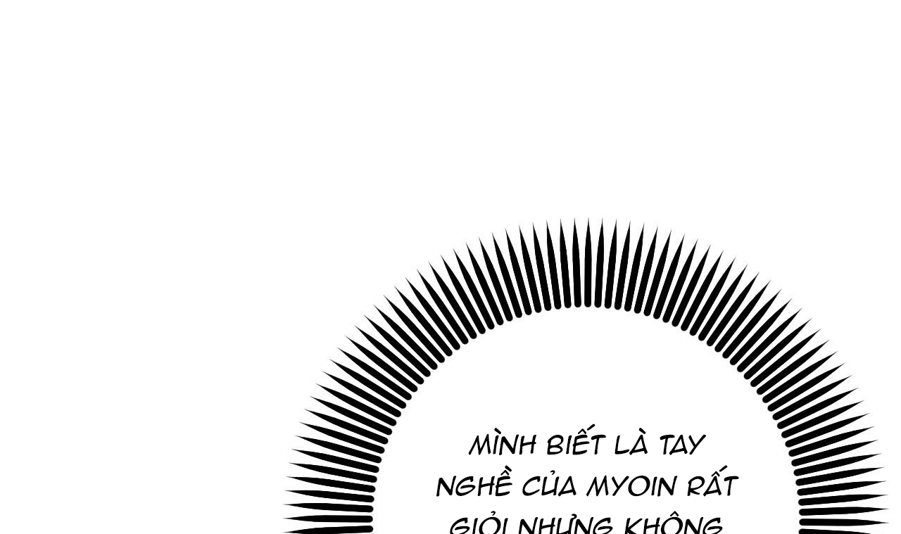 những chú thỏ của hapypy chapter 49 55