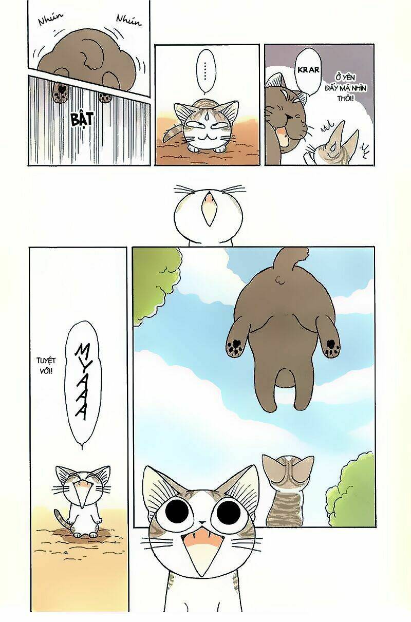 chi's sweet home chapter 39 12