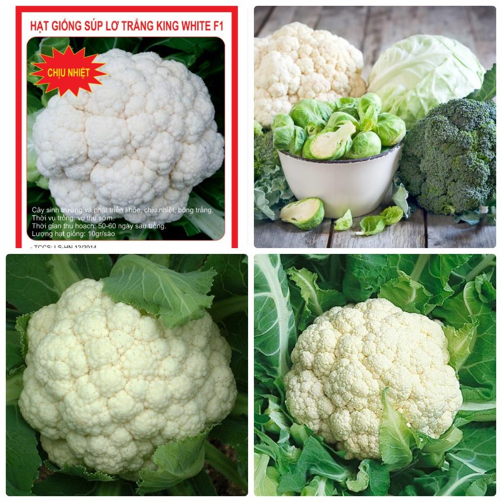 Hạt Giống Súp Lơ Trắng ,Bông Cải Trắng dể trồng f1- gói 0,2 Gram-tặng kèm gói phân bón lót