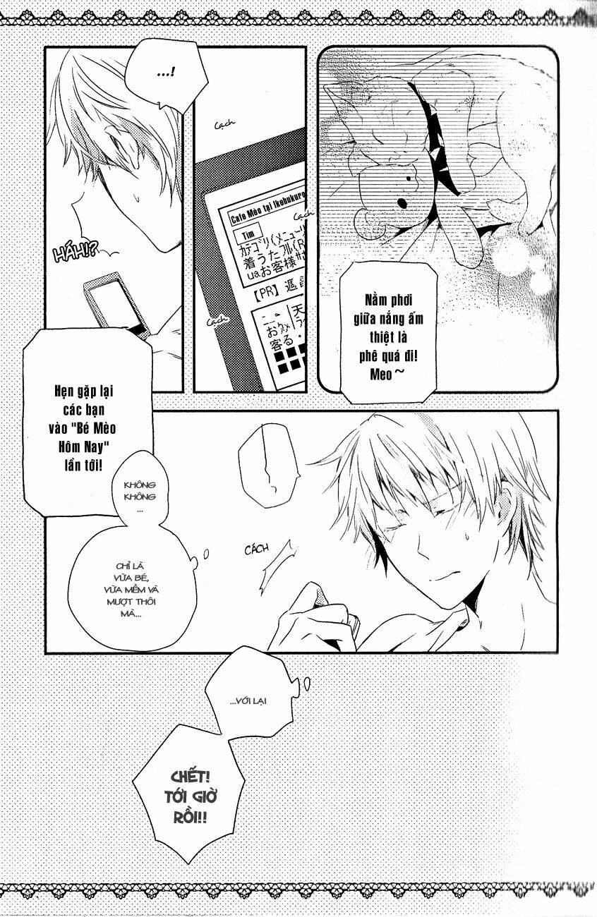 durarara!! dj - 24 hours - morning chapter 2 12