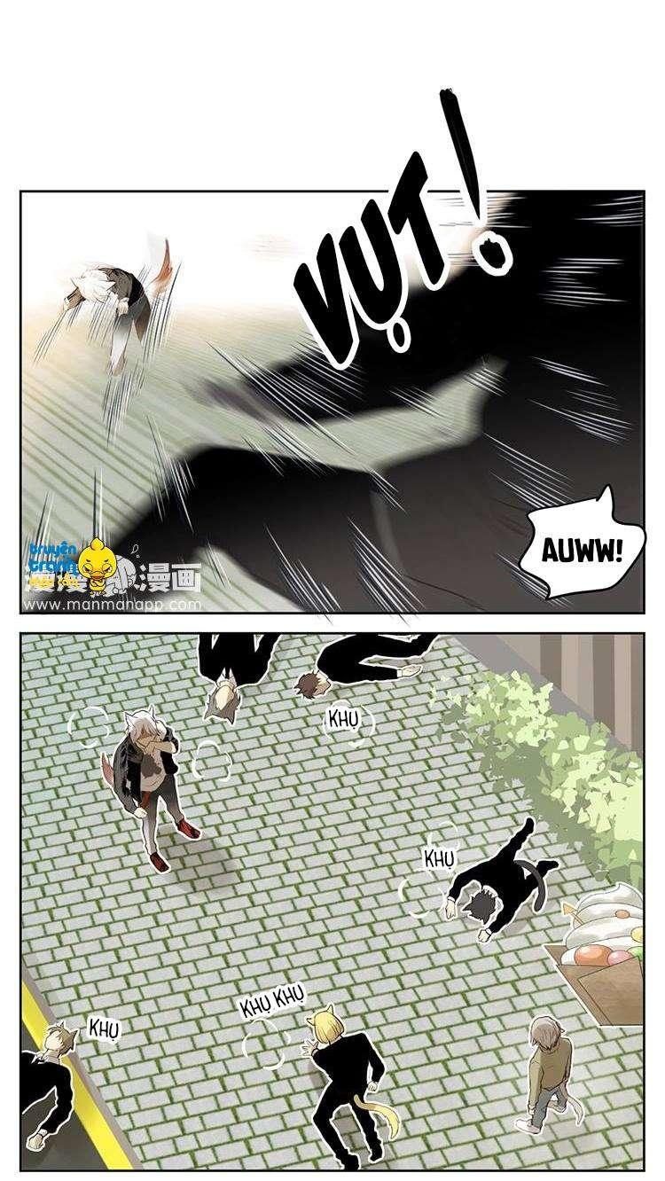 cứu mạng ! loài mèo thống trị thế giới rồi ! chapter 28 6