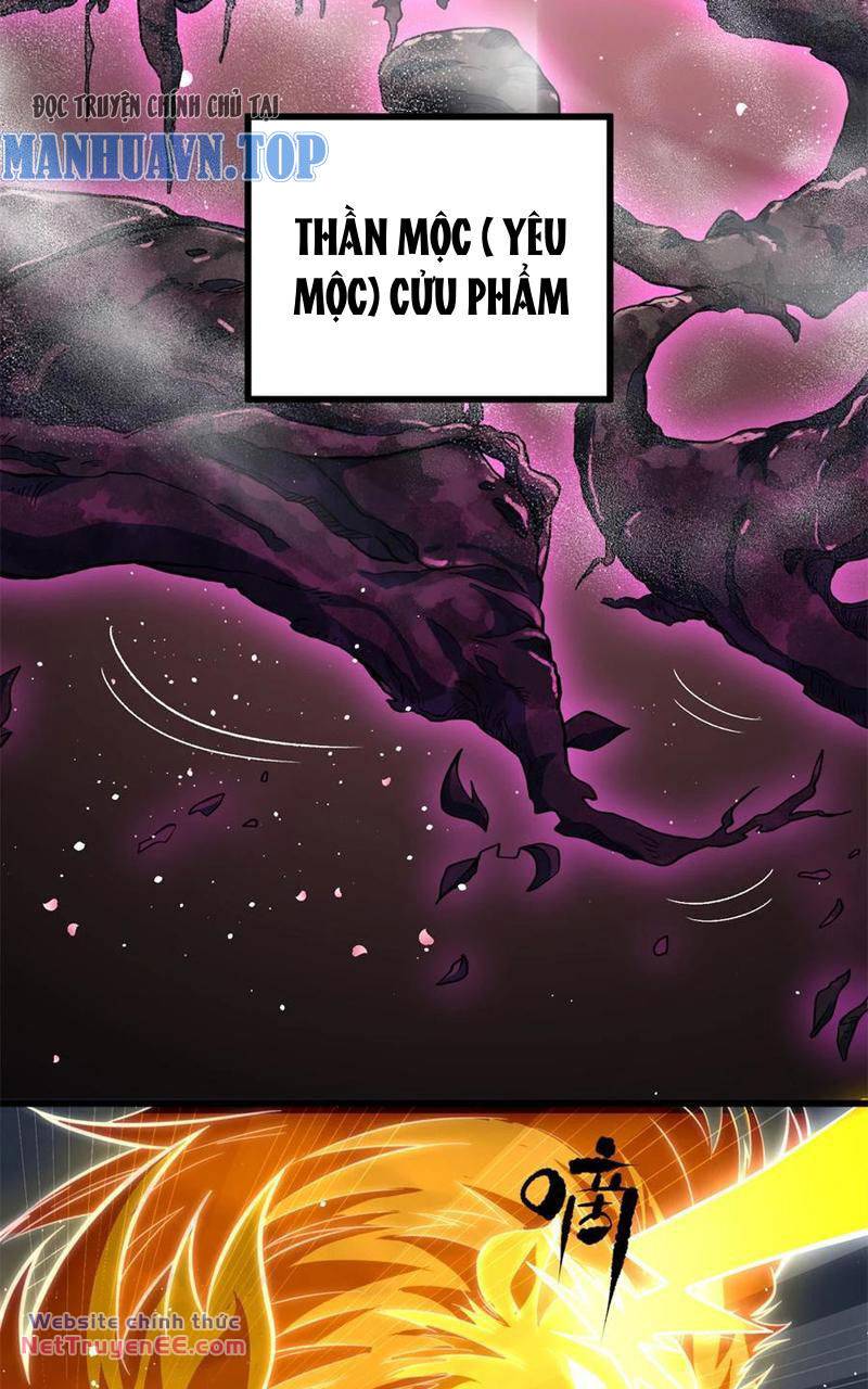 toàn cầu cao khảo chapter 249 44