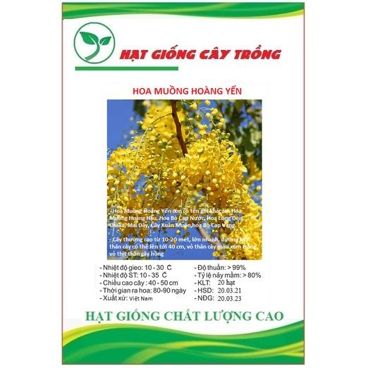 Hạt giống hoa muông hoàng yến CT34 - Gói 20 hạt