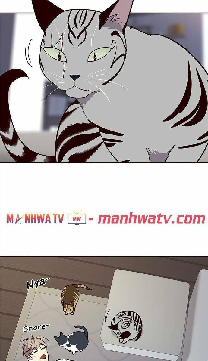 biến thân thành mèo chapter 21 66