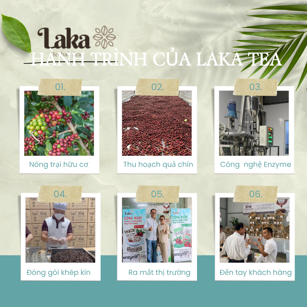 Trà Cà Phê Cascara LAKA Gói 5gr, 100% vỏ cà phê chín mọng Hỗ Trợ Giảm Cân, Ngừa Lão Hóa Và Ổn Định Đường Huyết