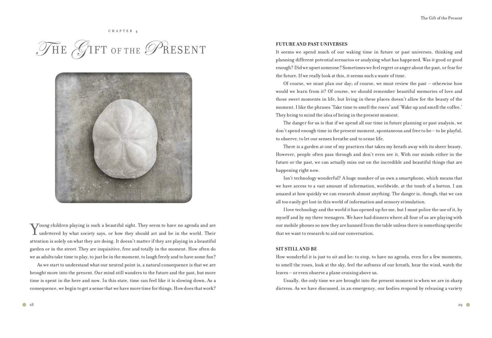 Sách - Dynamics of Stillness : Develop Your Senses and Reconnect with Nature Throu by Ian Wright
