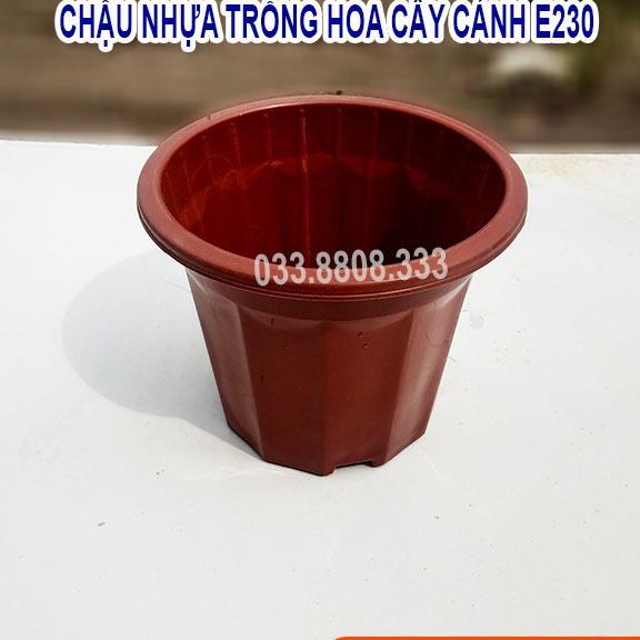10 Chậu Nhựa Nâu Trồng Cây E230 - Chậu Bền Đẹp