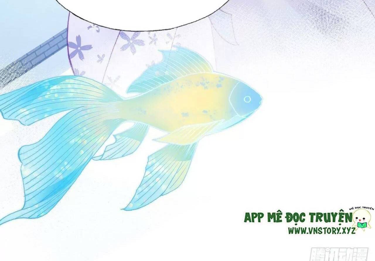 lại bị bệnh chiều chuộng quấn lấy chapter 79 60