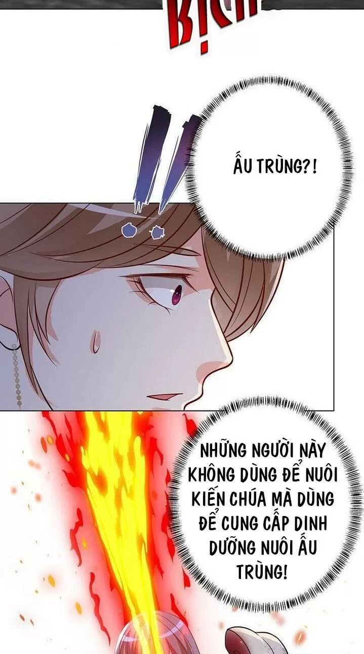 quy luật tình yêu ở mạt thế chapter 255 4