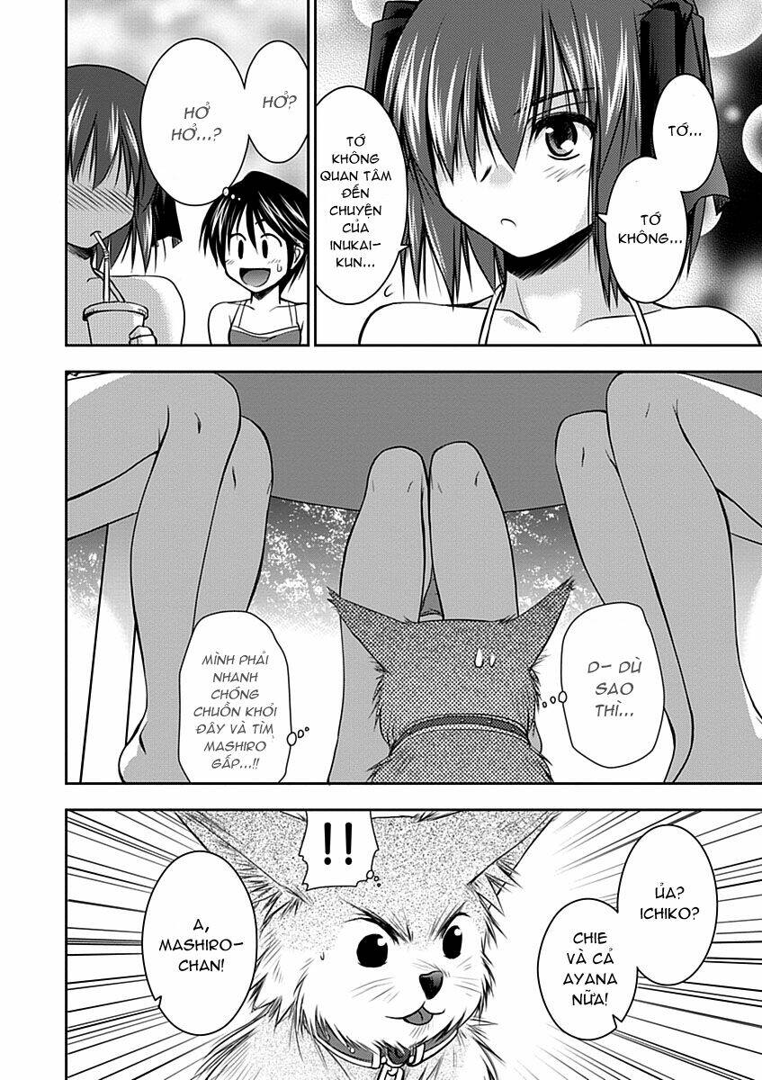 perowan! - hayaku shinasai! goshujin-sama chapter 9 14