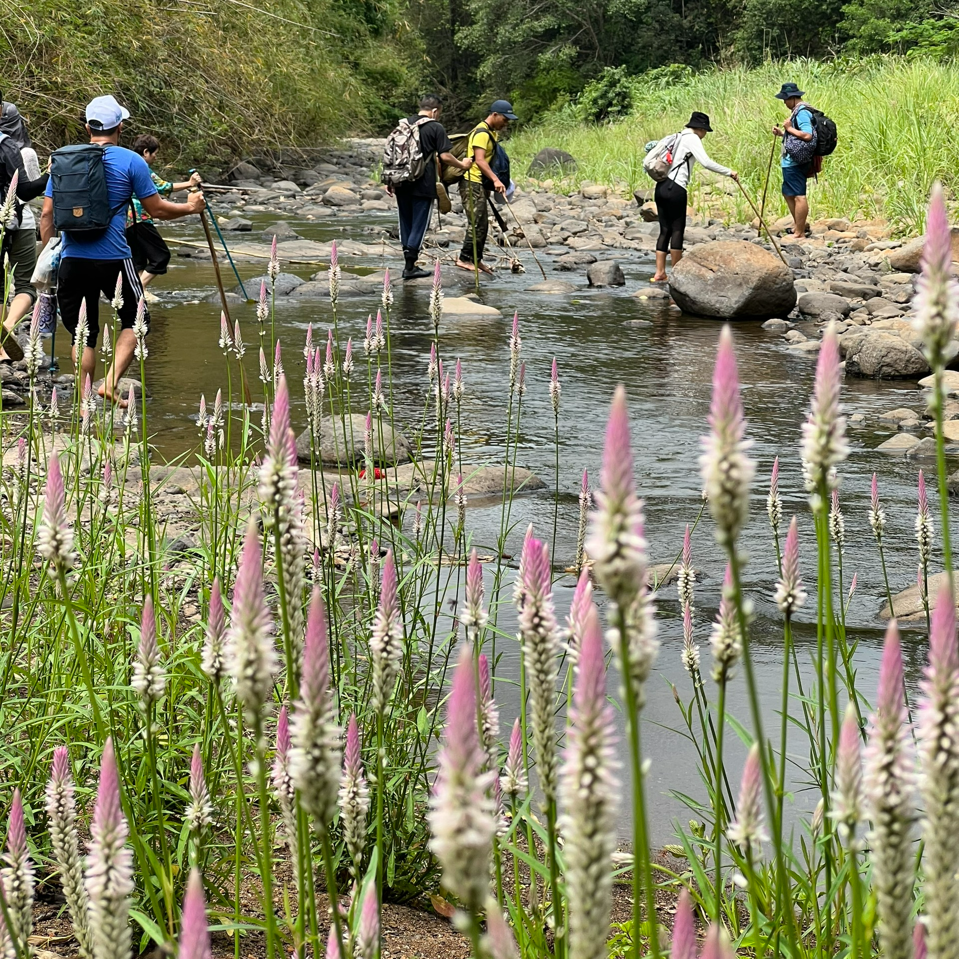 Tour 2N1D- Vườn Quốc Gia Bù Gia Mập. Khám Phá Thiên Nhiên - Trải Nghiệm Cuộc Sống Hoang Dã.  Khởi Hành Thứ 7 Hàng Tuần.