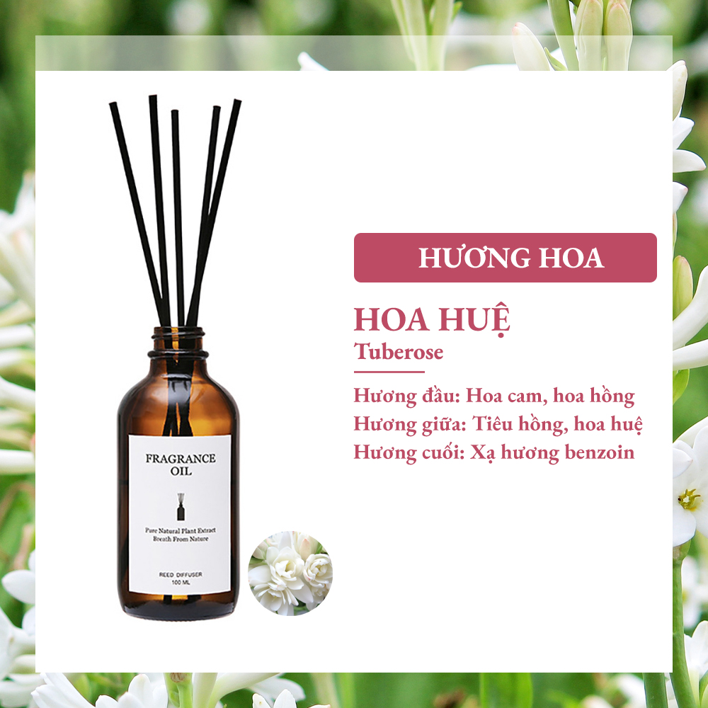 Tinh dầu khuếch tán BYME thơm phòng tự nhiên 120ML khử mùi que gỗ cao cấp tự xông phòng đuổi muỗi tạo mùi hương