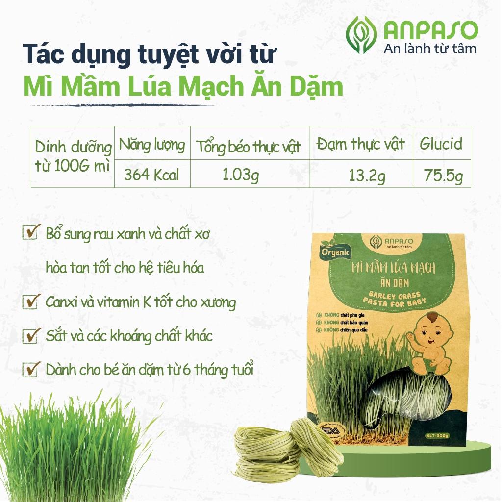 Mì Rau Củ Ăn Dặm Hữu Cơ Mầm Lúa Mạch Organic Anpaso từ 7 tháng bổ sung chất xơ, cải thiện táo bón 300g