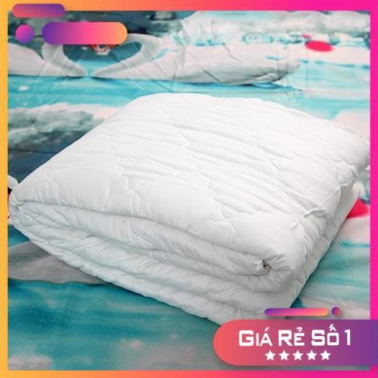Ruột chăn ruột mền cotton chần gòn 13 đủ kích thước