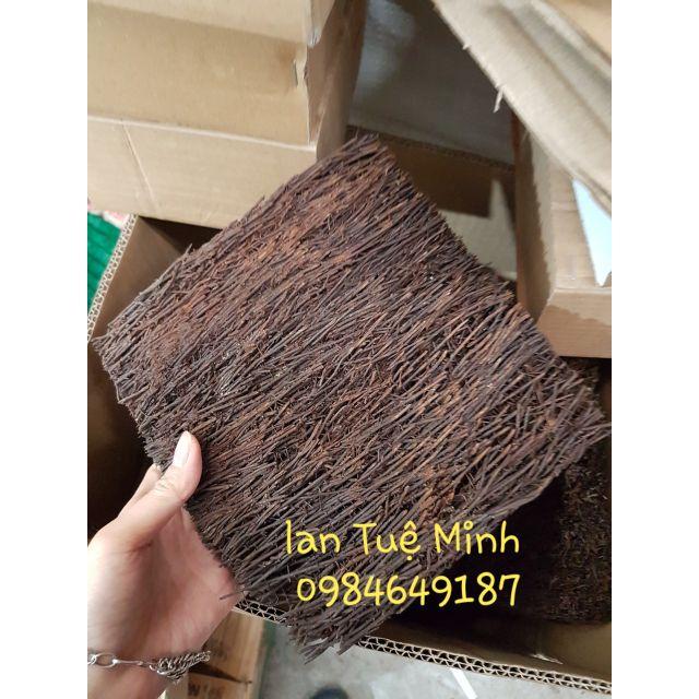 Bảng dớn trồng lan kích thước 20x20x3 cm