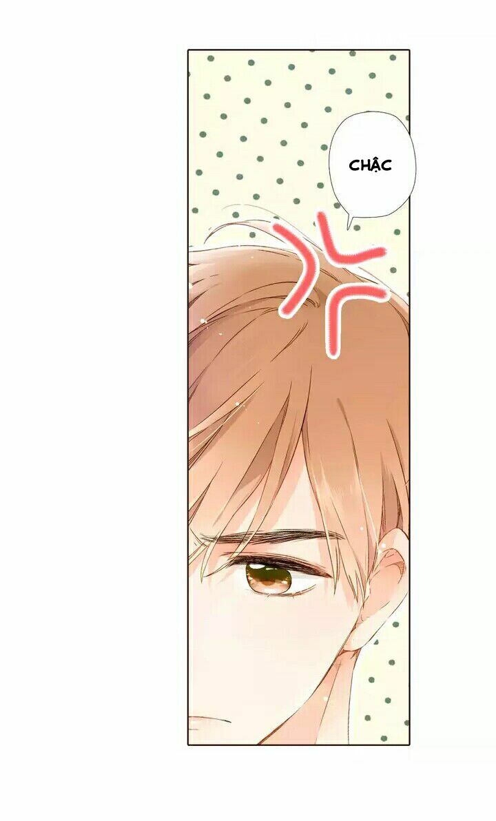 Tình yêu là màu hoa anh thảo chapter 28.2 4