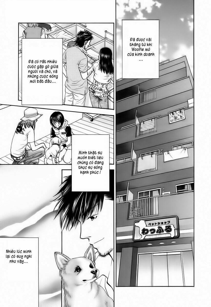 cô nàng yêu chó chapter 34 1