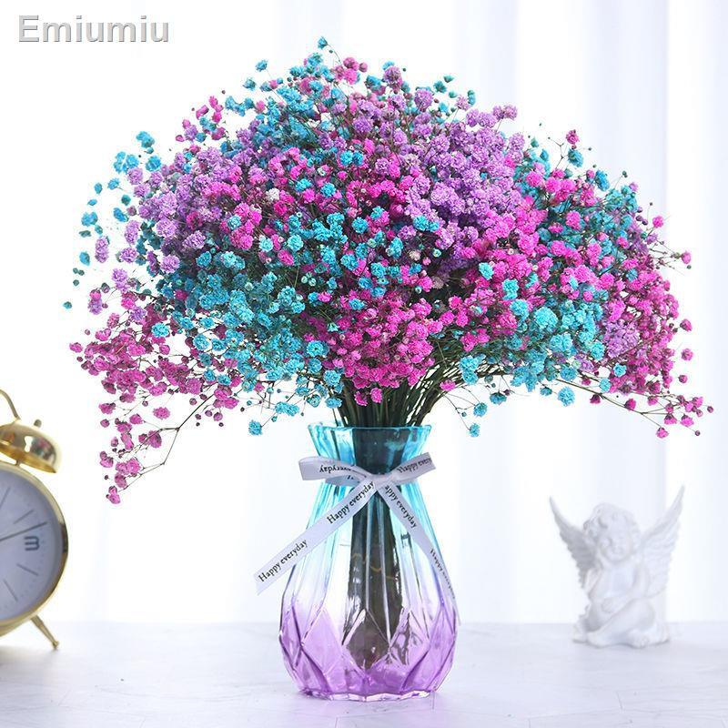 ▨◎▲Gypsophila hoa khô bó hoa thật khô số lượng lớn trong không khí trang trí đồ trang trí phòng khách