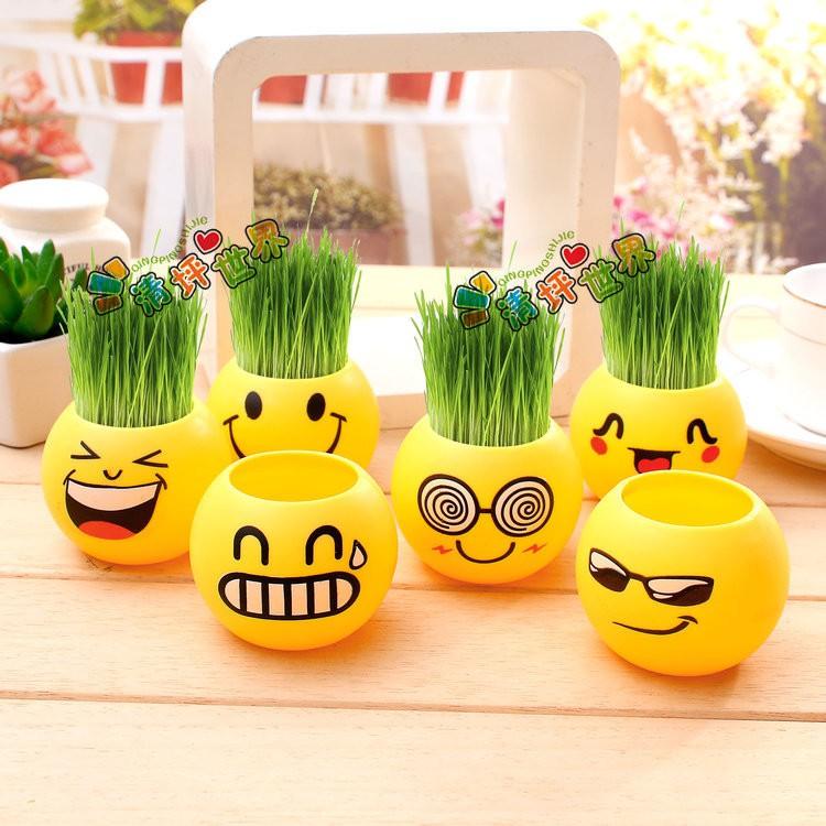 Chậu cây cảnh mini hình mặt cười đáng yêu, Emojji đẹp, chậu cây hình em bé baby xinh, tặng kèm đất và hạt giống cỏ tóc