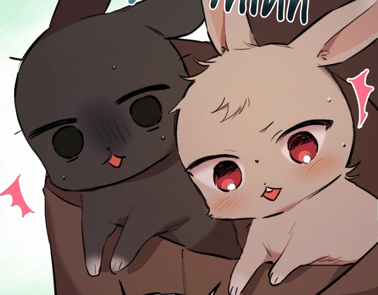 đàn thỏ của habibi chapter 19 100