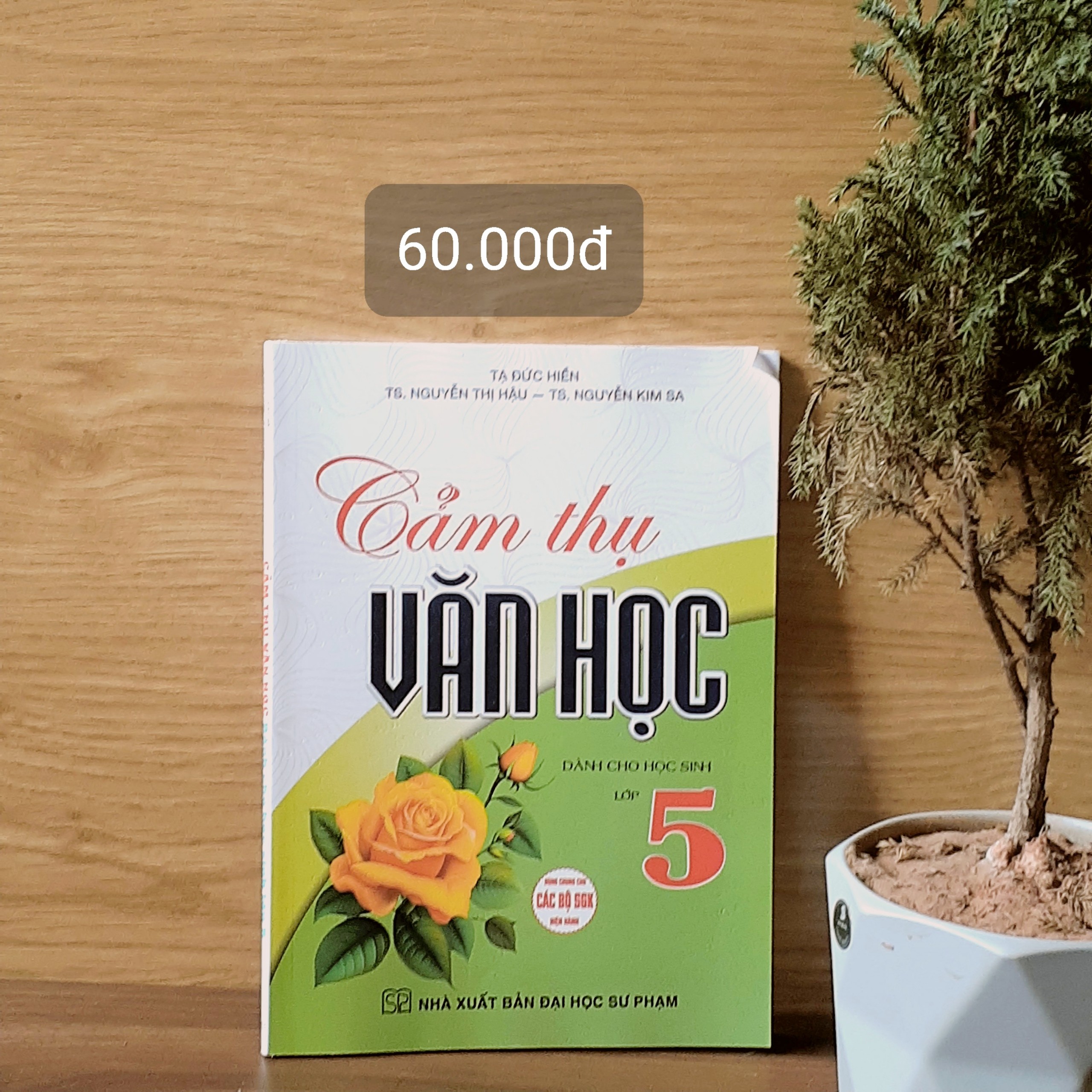 SÁCH - cảm thụ văn học dành cho học sinh lớp 5