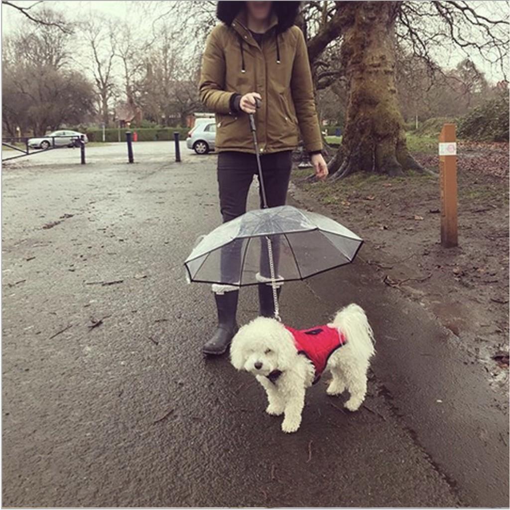 Dù che cho thú cưng đi dạo NAMSAN DOG