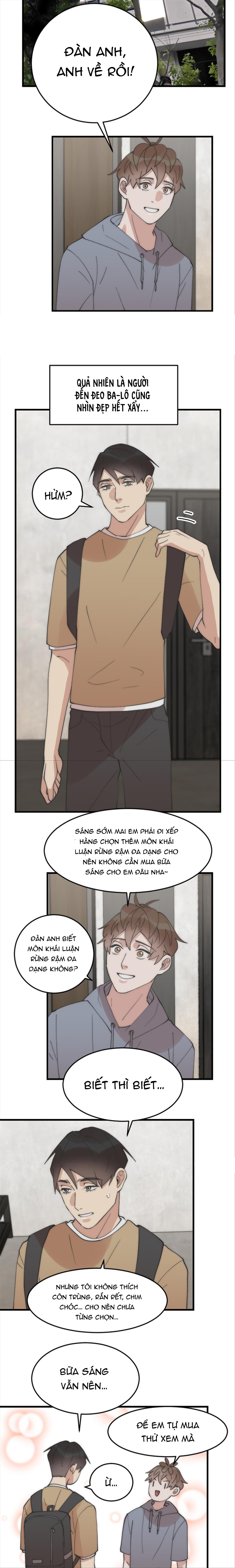 đàn anh “sói ca” cùng phòng của tôi chapter 20 6