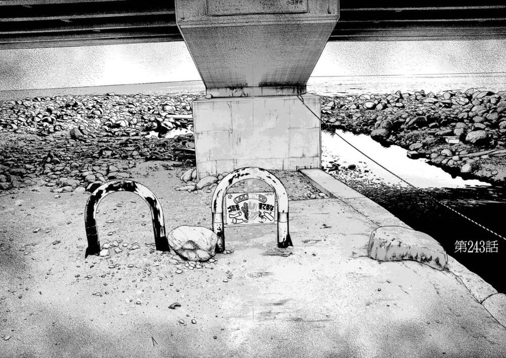 tôi là người hùng chapter 243 2