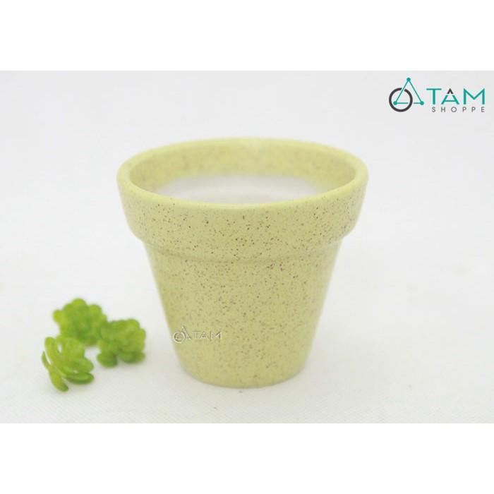Chậu gốm mini trồng cây để bàn số 61