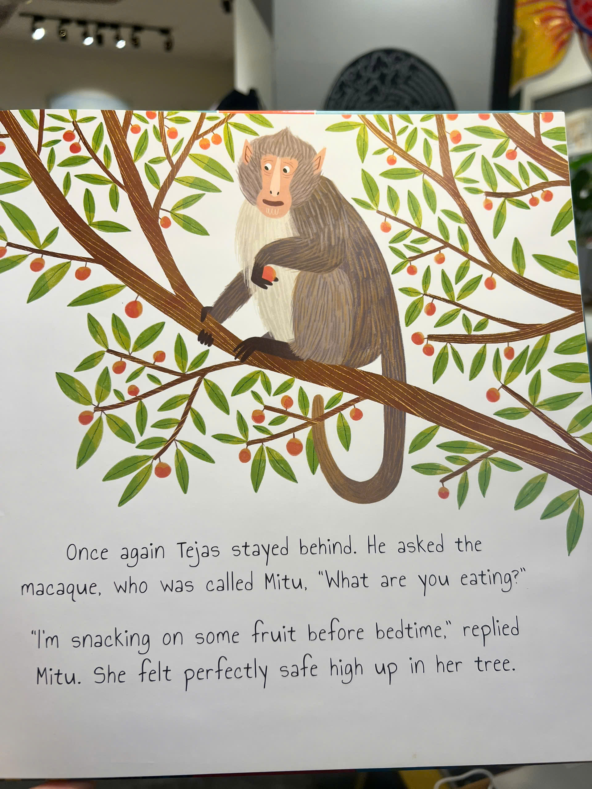 Sách - The Curious Tiger | Miles Kelly Children Book / Ngoại văn Thiếu nhi Bìa cứng / Nhập khẩu