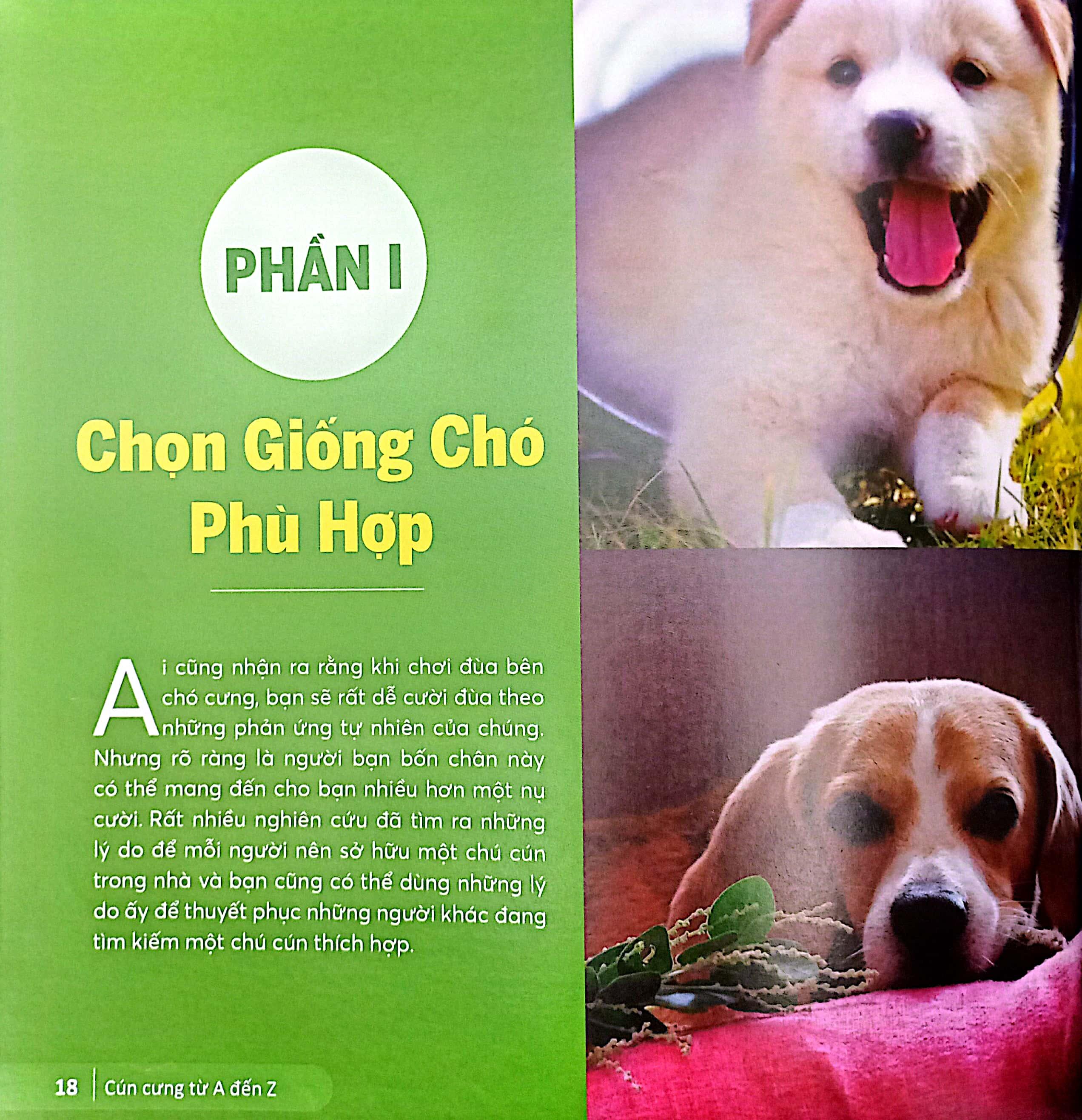 Sách - Cún Cưng A Đến Z - Những Bí Quyết Giúp Cún Cưng Khỏe Mạnh Và Hạnh Phúc